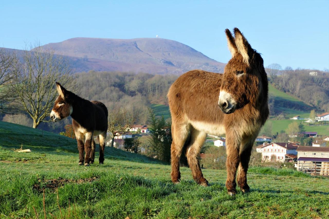 Baskoparadis I Eco-Gites I Calme I Vue I Anes I Jardin I Montagne I Nature Louhossoa 외부 사진