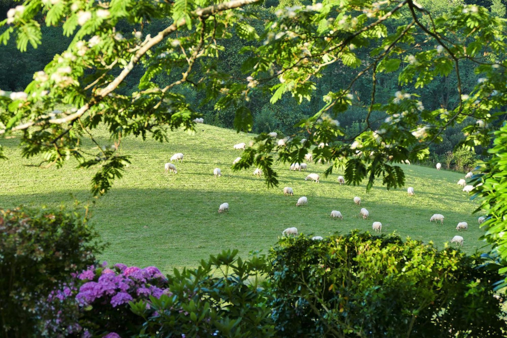 Baskoparadis I Eco-Gites I Calme I Vue I Anes I Jardin I Montagne I Nature Louhossoa 외부 사진