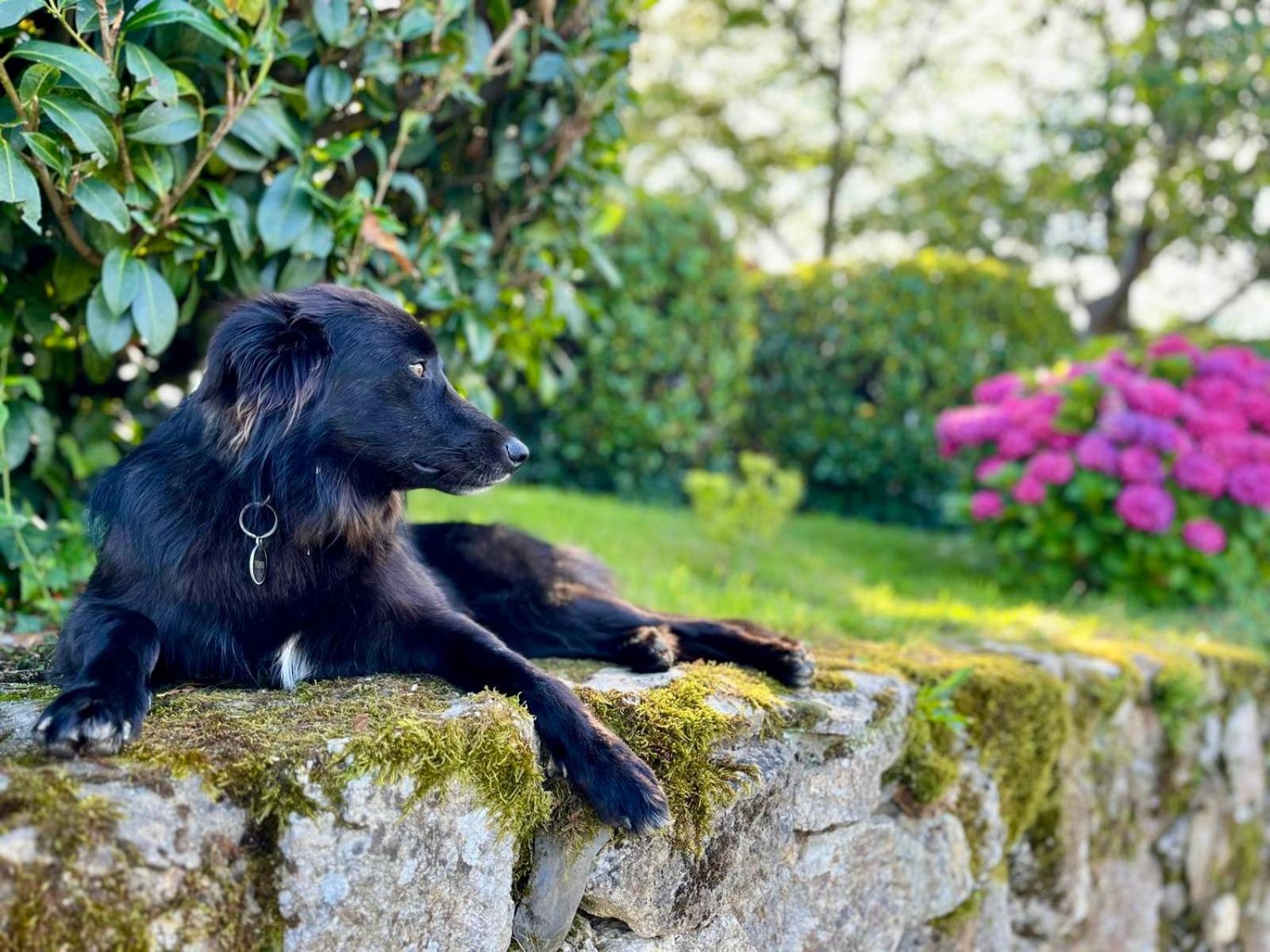 Baskoparadis I Eco-Gites I Calme I Vue I Anes I Jardin I Montagne I Nature Louhossoa 외부 사진