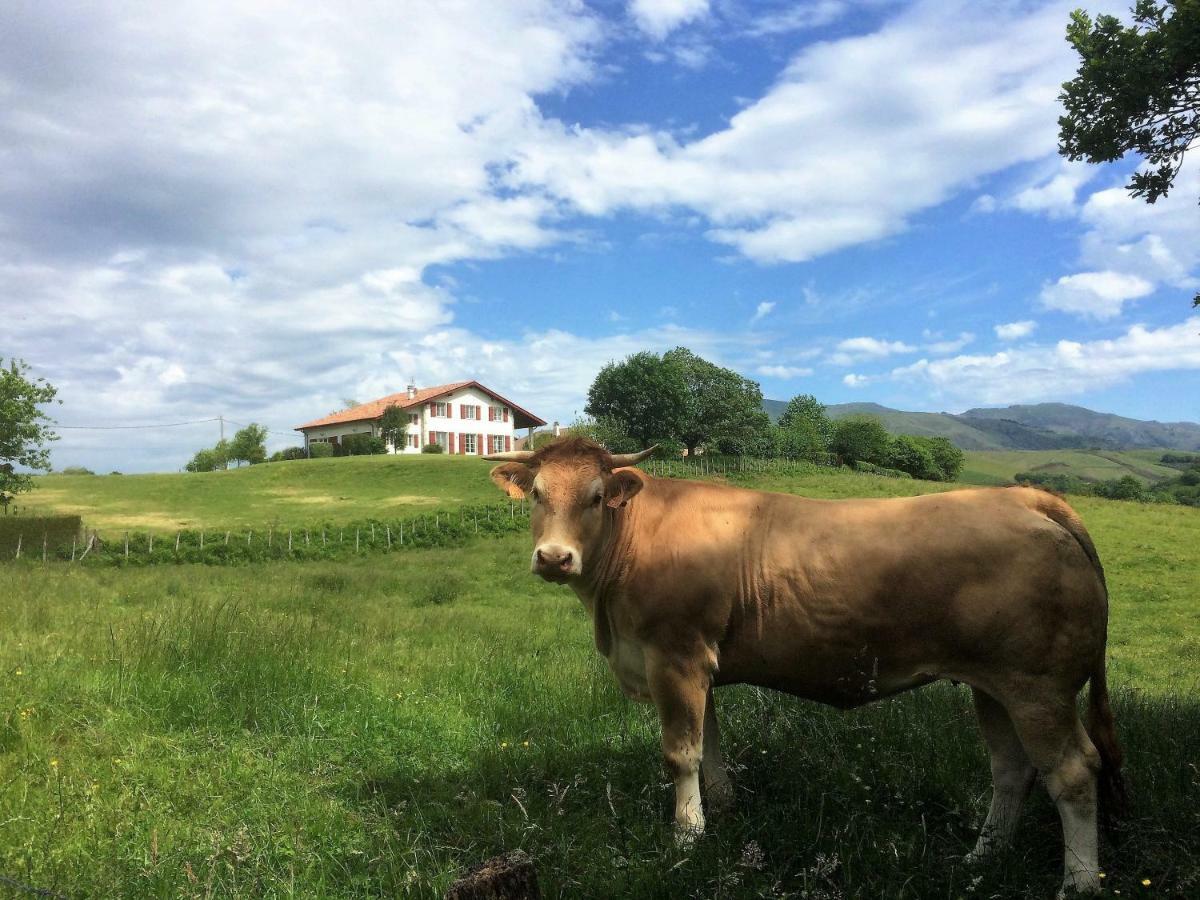 Baskoparadis I Eco-Gites I Calme I Vue I Anes I Jardin I Montagne I Nature Louhossoa 외부 사진