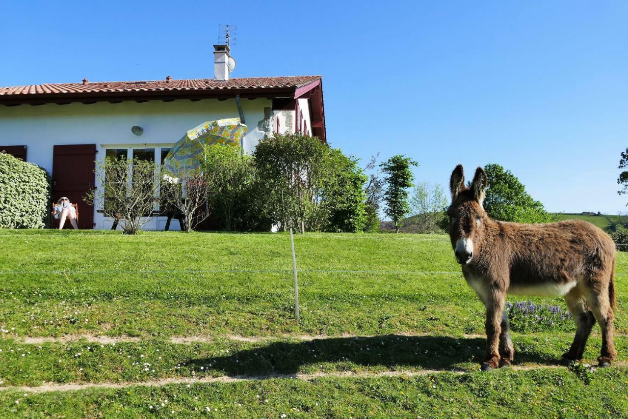 Baskoparadis I Eco-Gites I Calme I Vue I Anes I Jardin I Montagne I Nature Louhossoa 외부 사진