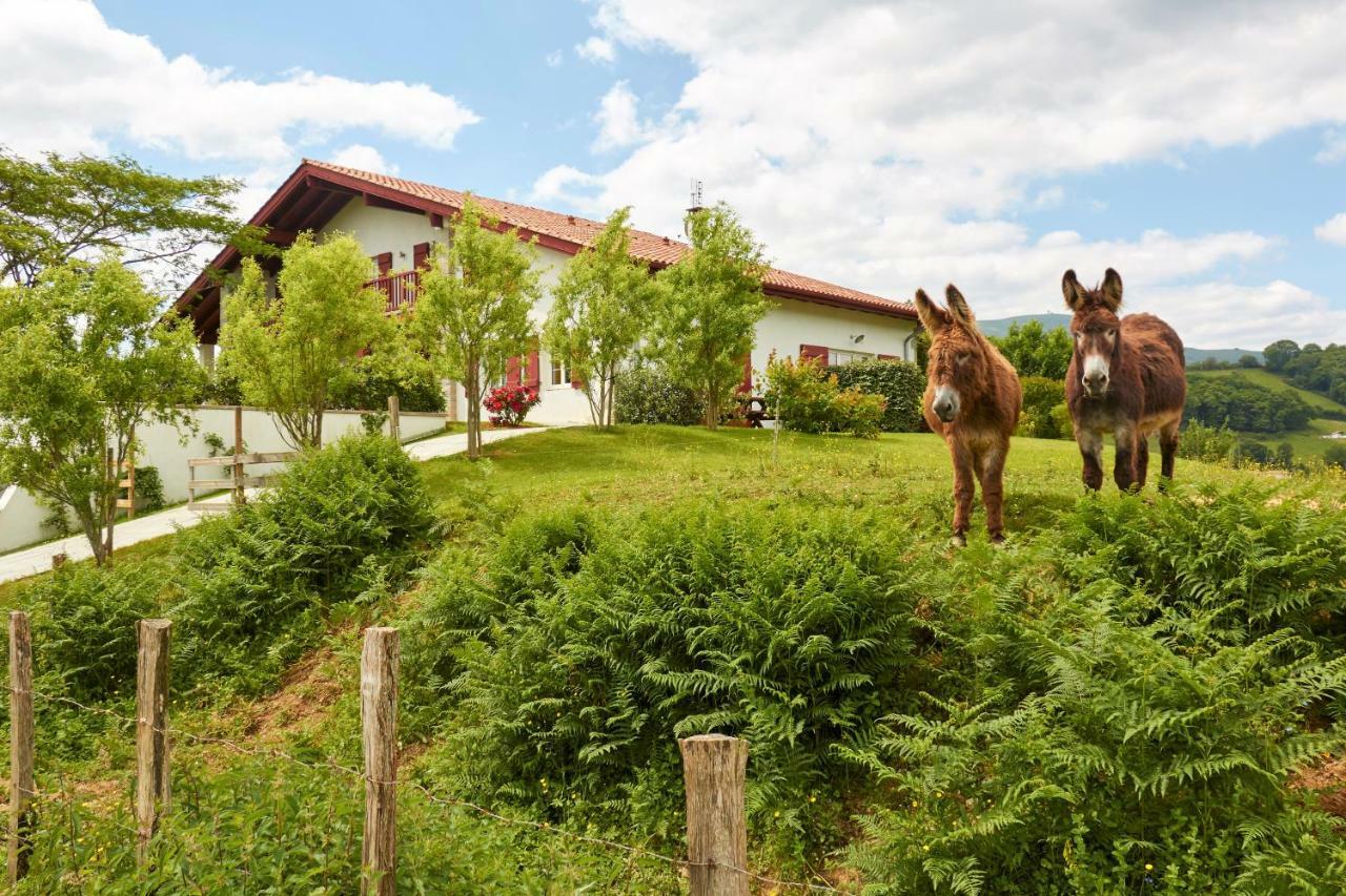 Baskoparadis I Eco-Gites I Calme I Vue I Anes I Jardin I Montagne I Nature Louhossoa 외부 사진