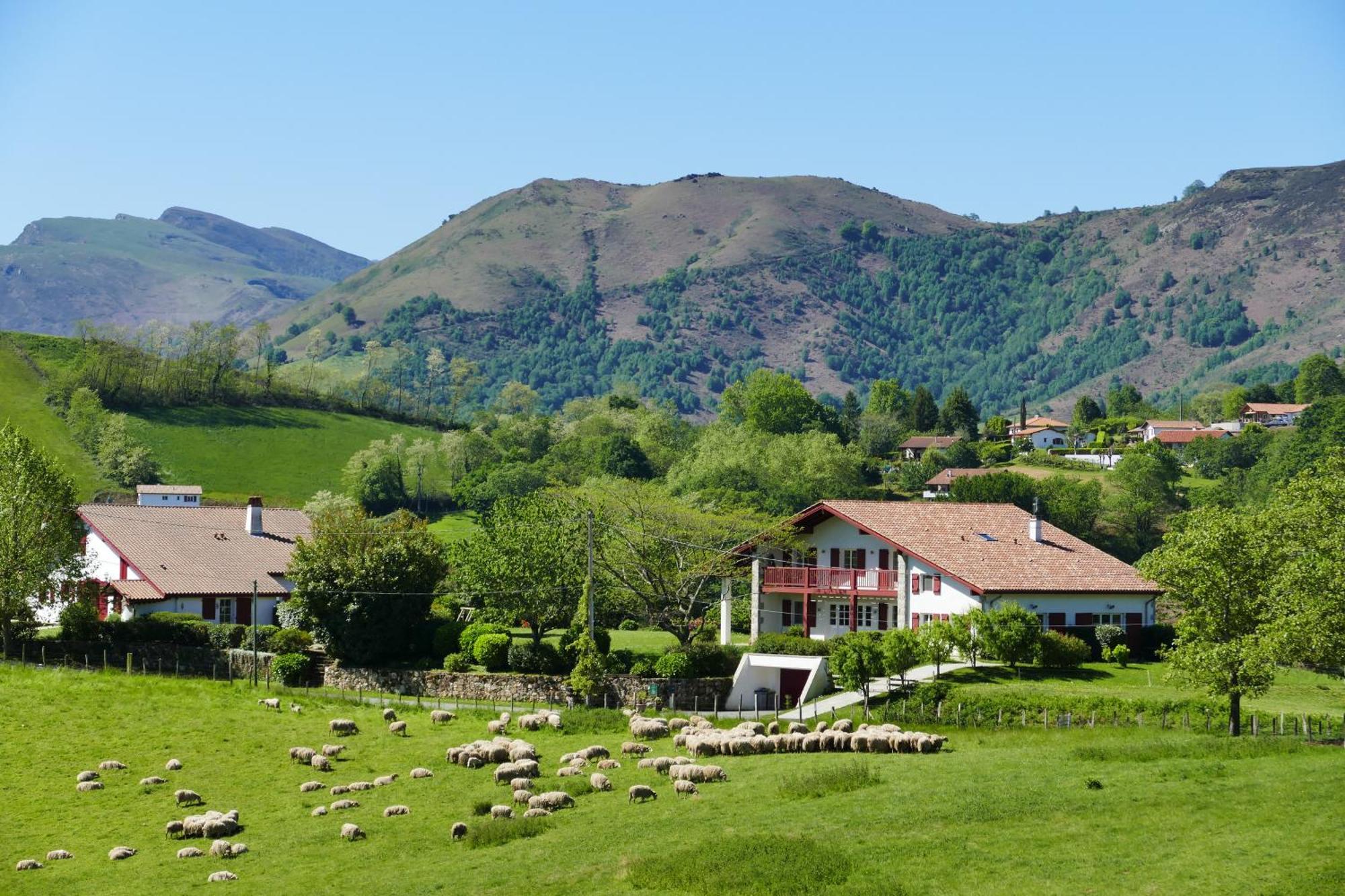 Baskoparadis I Eco-Gites I Calme I Vue I Anes I Jardin I Montagne I Nature Louhossoa 외부 사진